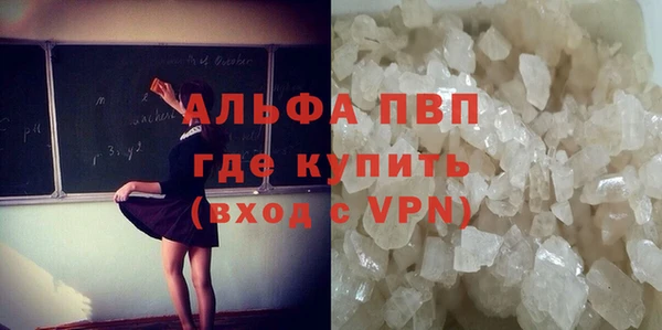 спайс Баксан