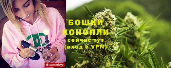 спайс Баксан