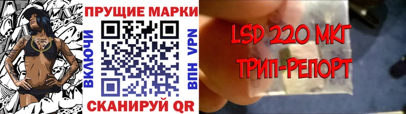 маркетплейс формула  МЕГА ссылка  Курчалой  Марки N-bome 1,5мг 